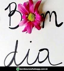 Resultado de imagem para flores e bom dia