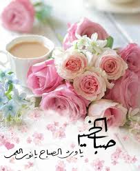 صبح و مساء sabbah w masa posted on instagram jul 7 2020 at 12 4 beautiful morning messages good morning beautiful flowers good morning flowers