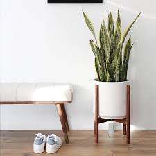 Large Mid Century Modern Cylinder Planter With Walnut Or Oak Mid Century Modern Planter Wooden Plant Stands Modern Planters