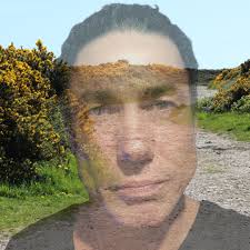 Seven psalms for meditation and prayer