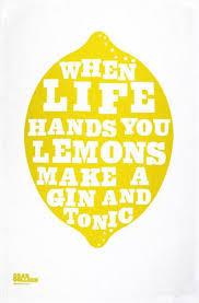 When Life Hands You Lemons Gin Quotes Lemon Quotes Words