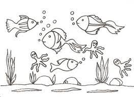Animales Vertebrados Peces Para Colorear Pez Para Colorear Fondo Del Mar Dibujo Ecosistema Terrestre Y Acuatico