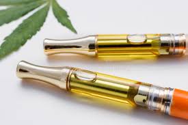 In spite of the expected increase in coming years, cbd vape oils have already deeply penetrated the market. Medical Cannabis Oil Vape Pens Stock Image Image Of Crop Growing 153160025
