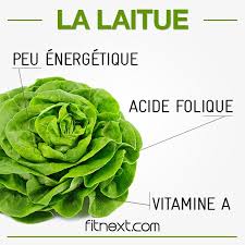 Riche En Eau Mais Aussi En Nutriments La Laitue Vous Apporte Notamment De La Vitamin Alimentation Et Sante Aliments Bons Pour La Sante Conseils Alimentaires
