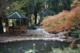 Batumi botanical garden is a treasure hidden on the green cape and lasting till village chakvi. Batumi Botanical Gardens 2021 All You Need To Know Before You Go Tours Tickets With Photos Tripadvisor