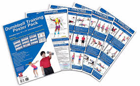 dumbbell training poster pack productive fitness