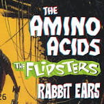 AMINO ACIDS / The Flipsters / Rabbit Ears at Paris Bar