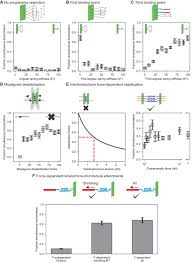 Mechanisms Of Chromosome Biorientation And Bipolar Spindle Assembly  Analyzed By Computational Modeling | ELife