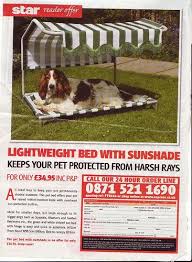 Some dog beds are only a couple of inches thick which won't be a. Pin By Helena Hinojosa On Pets Pampered Dogs Cool Dog Beds Dog Daycare