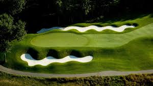 Great lot in rayburn country! Ranking Michigans Top Vacation Golf Courses