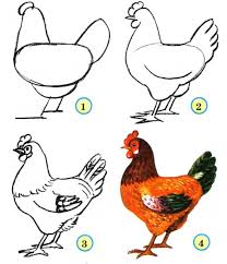 2) from the middle of the rectangle, draw one vertical and one horizontal line equally dividing the shape. Pin By Lor Ford On How To Draw Kak Narisovat Art Drawings Rooster Painting Rooster Art
