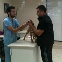Mujde Kedi Kopek Kuaforu Bostanci Istanbul Bostanci