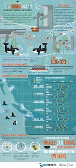 Very Cool Infographics On The Secret To The Ocean Sound And Why A Quiet Ocean Is Important Oceans Of The World Ocean Day Ocean