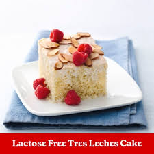 Image result for Pastel French Vanilla 1984 Tempo