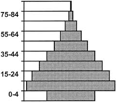 Image result for Gray 1990 US Government