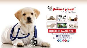 Best pet food store near me. Pin On Animel Planet Img