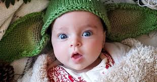 Magnolia Earl Gerber Photo Contest 2020 List Of Gerber Babies Outlet