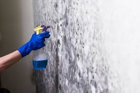 Check to see the mold growth. How To Effectively Get Rid Of Mold In Your Basement Attic Basement Ideas