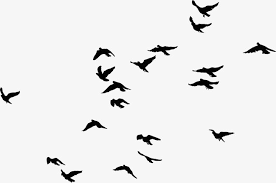 Black Birds Black Simple Bird Png Transparent Clipart Image And Psd File For Free Download Hinh Xăm Cay Hinh Xăm Nghệ Thuật