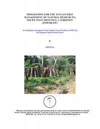 Image result for Scorodophloeus zenkeri