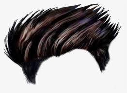 Picsart Hair Png Images Free Transparent Picsart Hair Download Kindpng Discover free hd picsart hair png images. picsart hair png images free