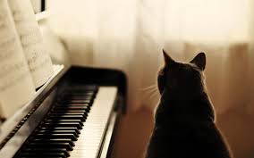 Piano Music Wallpapers Music Wallpaper Piano Piano Music