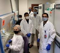 Is there a support program to find cure for herpes? Drug For Rare Disorder Shows Promise For Treating Herpes Viruses Eurekalert Science News