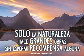 Resultado de imagen de La Naturaleza frases