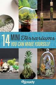 14 Diy Plant Terrarium Ideas Mini Terrariums You Can Make Yourself See More At Https Diyprojects Com 14 Diy Plant Te Terrarium Diy Mini Terrarium Terrarium