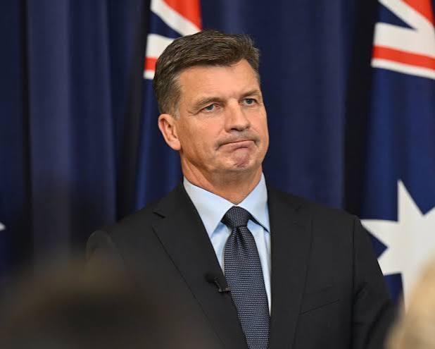 Moderate Liberals warn Angus Taylor against adopting Trump-style immigration policies | Australian immigration and asylum | The Guardian