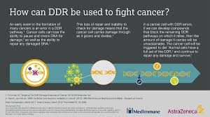 By embedding twitter content in your website or app, you are agreeing to the twitter developer agreement and #breaking ema to hold extraordinary meeting on thursday on astrazeneca. Astrazeneca On Twitter The International Congress On Targeted Anticancer Therapies Starts Today You Can Follow The Conference At Tat2017 Cancer Https T Co 4ndo3g7fsn