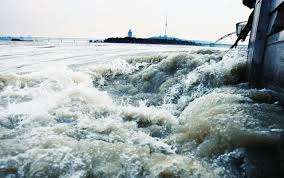 但最新发表在学术期刊《科学》（science）上的一篇题为《公元前1920年的洪水爆发为中国传说中的大洪水和夏朝的存在提供依据》（outburst flood at 1920 bce supports historicity of china's great flood and the xia dynasty）则第一次为大禹治水的故事提供了科学证据。 2016年8月5日. é¢å¯¹æ´ªæ°´ ä¸­å›½é€‰æ‹©æ²»ç† è¥¿æ–¹é€‰æ‹©é€ƒè·' æ¯æ—¥å¤´æ¡