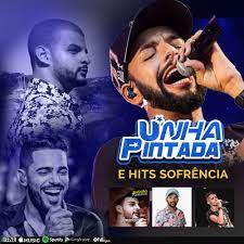 Abaixar musio unha pintada2021 download de mp3 e letras. Pin Em Unha Pintada Repertorio Novo 2020 Musicas Novas