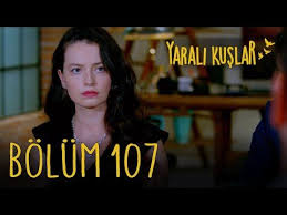Yarali Kuslar 107 Bolum Youtube En 2020