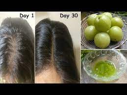 It reduces hair loss by eliminating the free radicals from damaging the hair follicles. Amla Juice Hair Oil For Double Hair Growth Get Long Hair Turn Thin Hair To Thick Hair Youtube