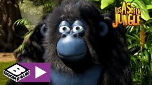 Les as de la jungle maurice. Episode 3 Les As De La Jungle En Direct Boomerang Youtube