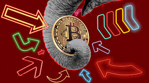 The best gifs are on giphy. Is The Bitcoin Bottom In