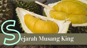 Durian semuanya berasal dari pulau kalimantan. Sejarah Dan Asal Usul Durian Musang King Youtube