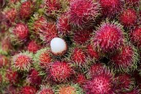 Maybe you would like to learn more about one of these? 77 Weird Exotic Fruits You Didn T Know Existed