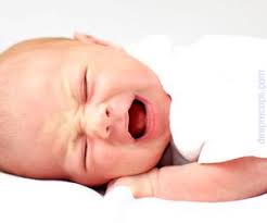 We did not find results for: Totul Despre E Coli Desprecopii Com