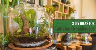 How do you make a mini greenhouse? 3 Diy Tabletop Greenhouse Ideas Greenhouse Emporium
