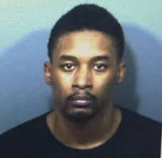 The Bay Net Newsletter