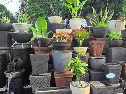 Lihat ide lainnya tentang pot bunga, bunga, rak pot bunga. Pot Bunga Cetak Atau Hiasan Taman Photos Facebook