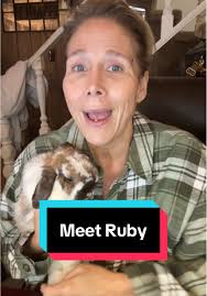 Rest in Peace Ruby The Rabbit