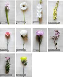 That's not all, flower bouquet can be used as a perfect messenger to send or say something very silly or heart touching message. Flowers Used In Weddings Off 51 Online Shopping Site For Fashion Lifestyle