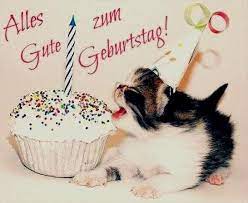 schone geburtstagsbilder gb bilder gb pics gastebuchbilder alles gute geburtstag katzen geburtstag lustige geburtstagsbilder