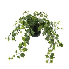 4.4 out of 5 stars. Luxury Ivy Faux Plants Trees Perigold