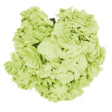 Growing hydrangeas, pruning hydrangeas, change hydrangea flower colors, and hydrangea varieties. Green Bunch Hydrangea Silk Flowers 6 Heads Per Bunch Royal Imports