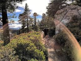 Ramon road and following it the cactus to clouds hike is long. Cactus To Clouds To Cactus C2c2c Trvrs Outdoors Trvrs Creative