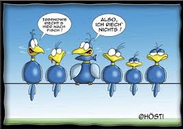 Batty Birds Fisch Von Hosti Liebe Cartoon Lustige Cartoons Lustig Witze Bilder